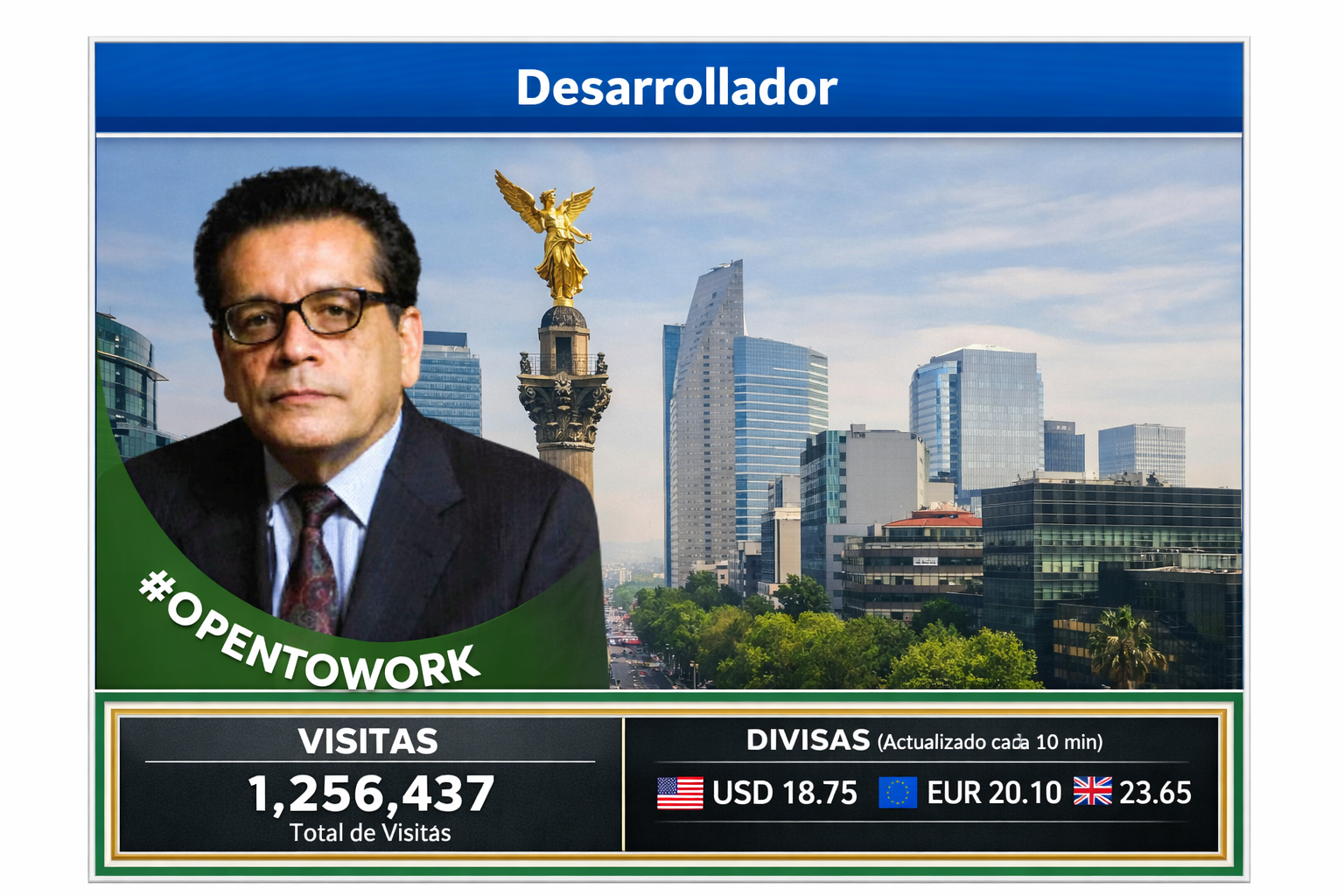 Sobre el desarrollador